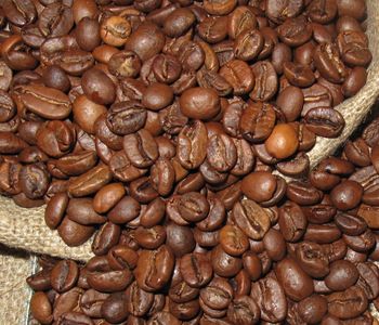 Mluvíme o nejznám�jší a nejrozší�en�jší odr�d� kávy. 
Dnes zaujímá tém�� 3/4 sv�tové produkce kávovník�. Její sv�tle zelená zrnka se vyzna�ují tím, �e jsou obvykle výrazn� v�tší ne� zrna robusty, ale také výrazn� ni�ším obsahem kofeinu a také t�íslovin. Díky tomu bývá základem spíše kyselejších káv se zajímav�jším chu�ovým profilem. Je pova�ována za odr�du kvalitn�jší, ale oproti robust� je i výrazn� dra�ší.